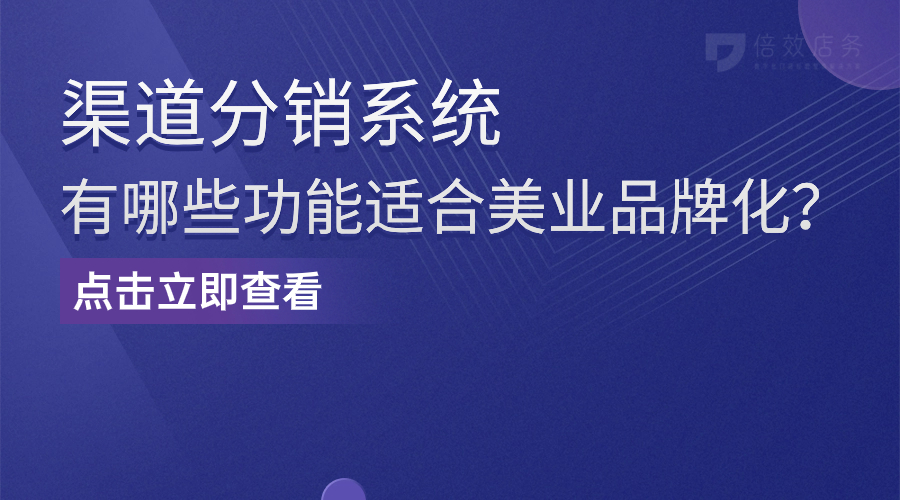 渠道分销系统有哪些功能适合美业品牌化？